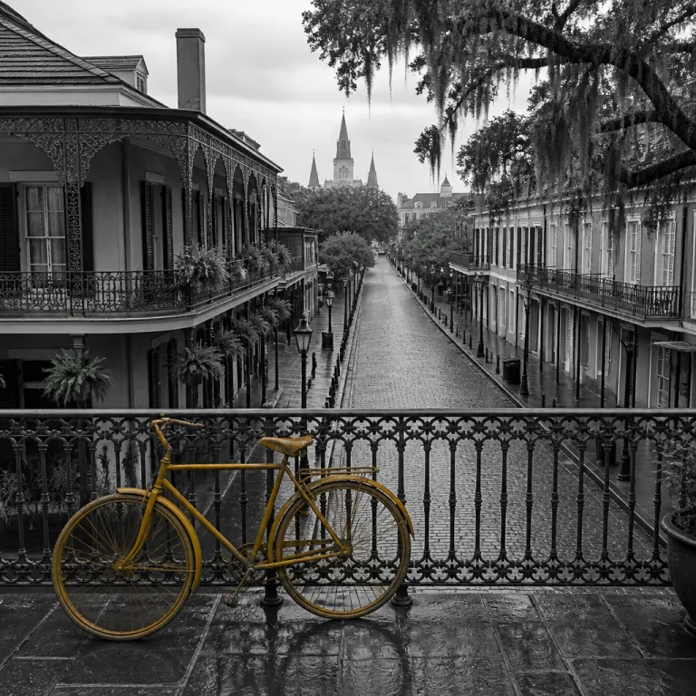 Things to Do in New Orleans from Your Hotel: Curated Tours, Museums, and Local Tips